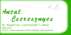 antal cseresznyes business card